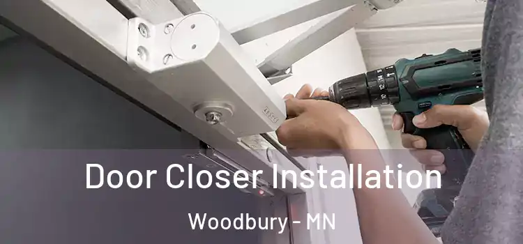 Door Closer Installation Woodbury - MN