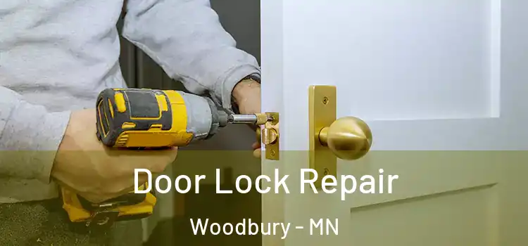  Door Lock Repair Woodbury - MN