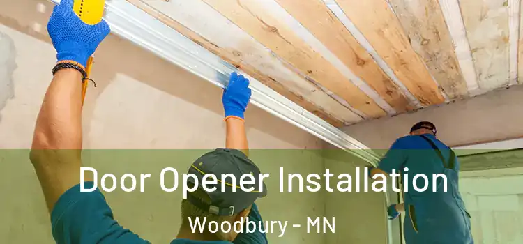  Door Opener Installation Woodbury - MN