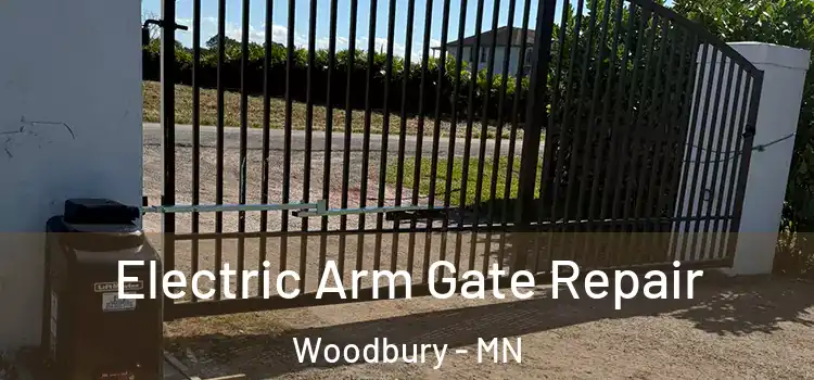  Electric Arm Gate Repair Woodbury - MN