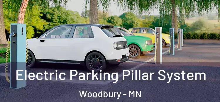  Electric Parking Pillar System Woodbury - MN