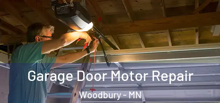  Garage Door Motor Repair Woodbury - MN