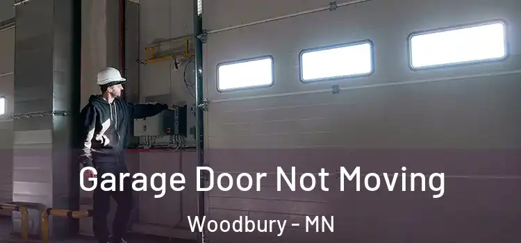  Garage Door Not Moving Woodbury - MN