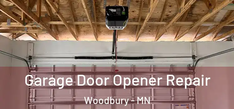  Garage Door Opener Repair Woodbury - MN