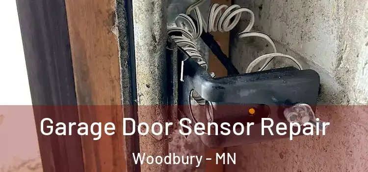  Garage Door Sensor Repair Woodbury - MN