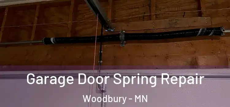  Garage Door Spring Repair Woodbury - MN