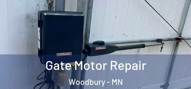  Gate Motor Repair Woodbury - MN