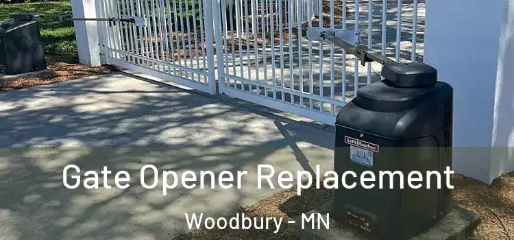 Gate Opener Replacement Woodbury - MN
