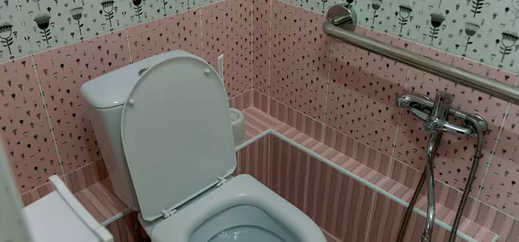 Meeting Diverse Needs With Accessible Restroom Solutions in Woodbury, MN