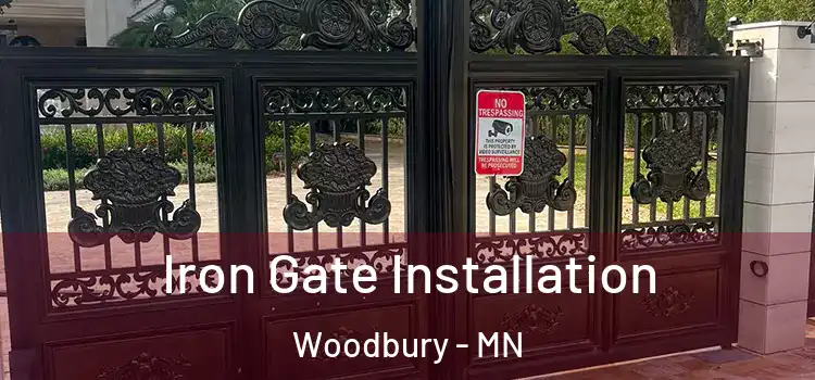 Iron Gate Installation Woodbury - MN