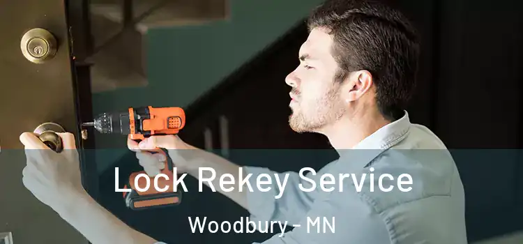  Lock Rekey Service Woodbury - MN
