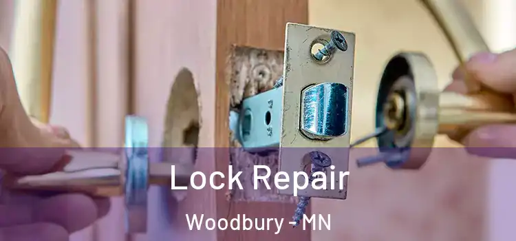  Lock Repair Woodbury - MN