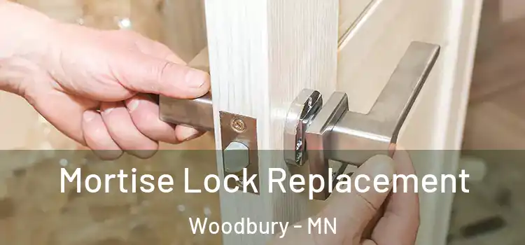 Mortise Lock Replacement Woodbury - MN