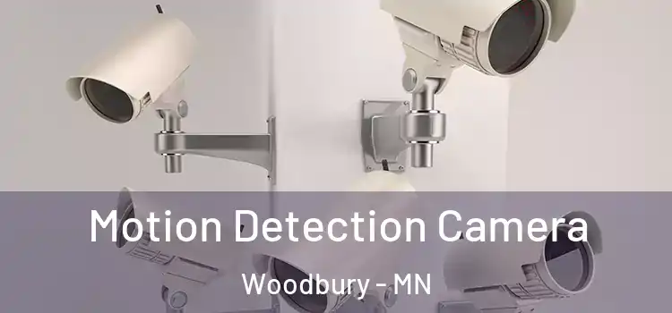  Motion Detection Camera Woodbury - MN