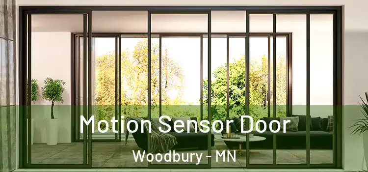 Motion Sensor Door Woodbury - MN