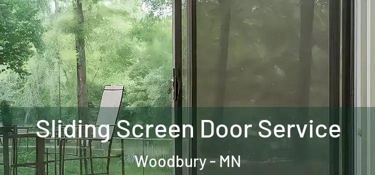  Sliding Screen Door Service Woodbury - MN